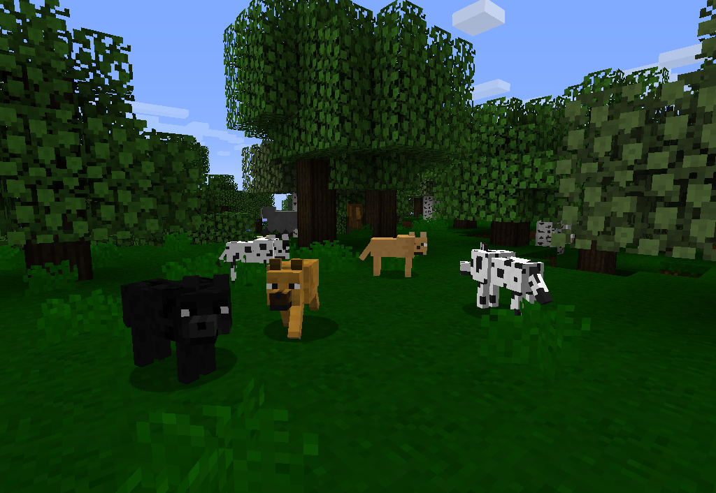 Changed Wolves