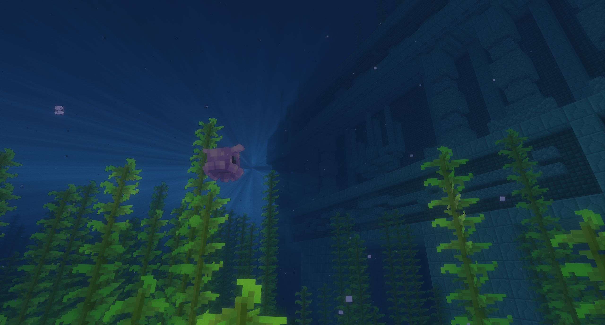 screenshot thumbnail
