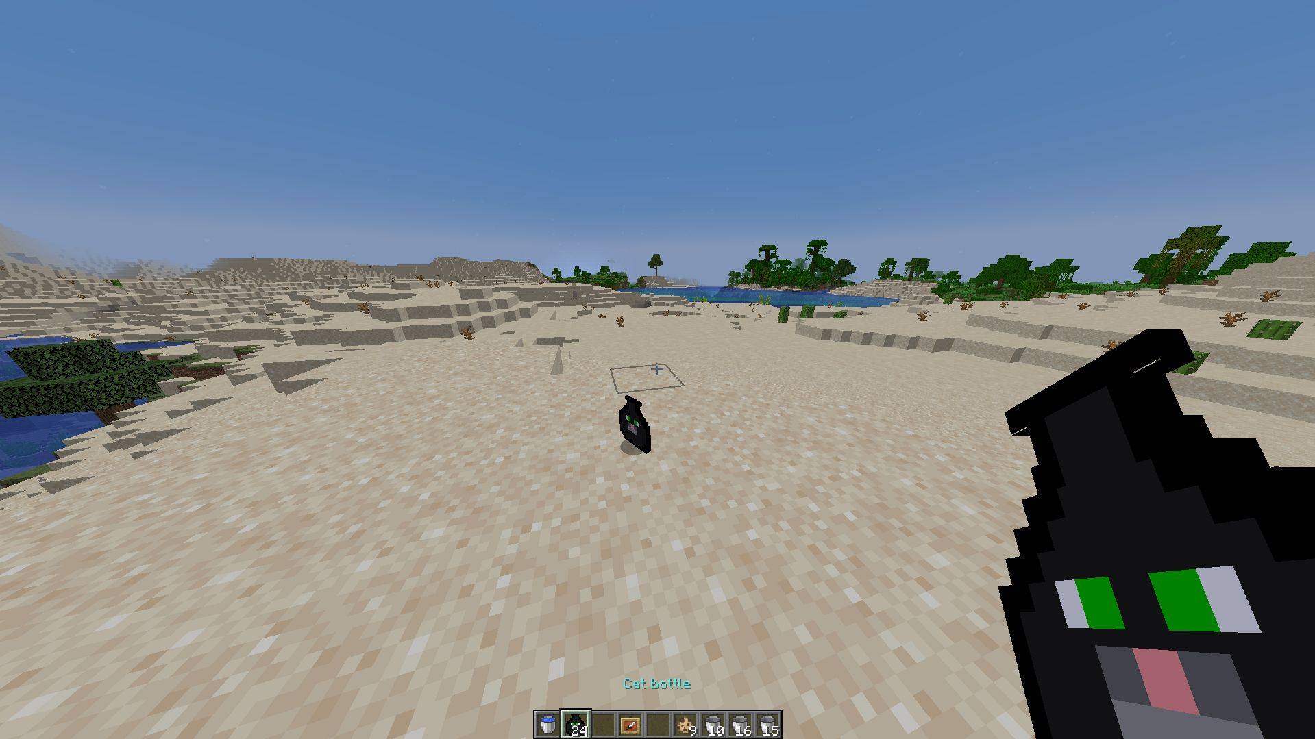 Cat In Bottle - Gallery - Minecraft Mods - CurseForge