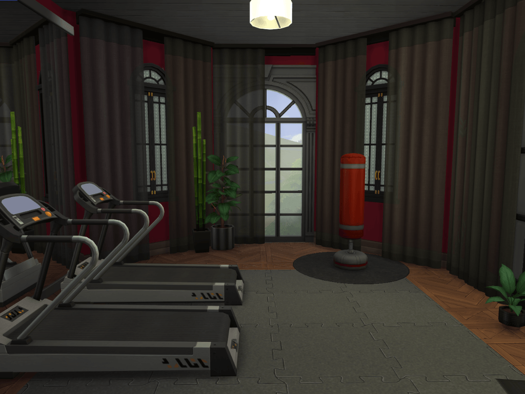 Thumbnail OpheliaEstateGym.png