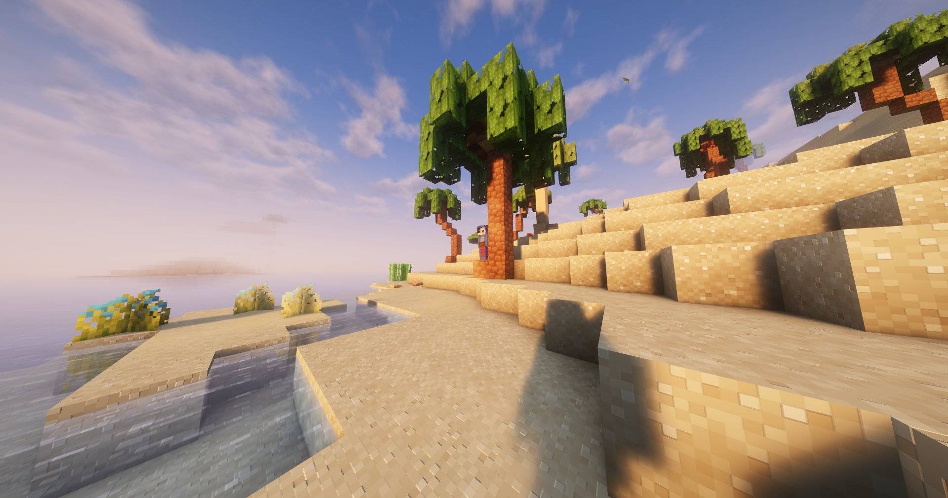 Screenshot thumbnail
