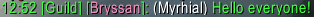 Example image of an alt talking in guild chat