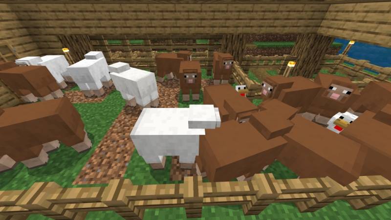 Legit Survival Island WOOD Edition - Gallery - Minecraft Bedrock Maps ...