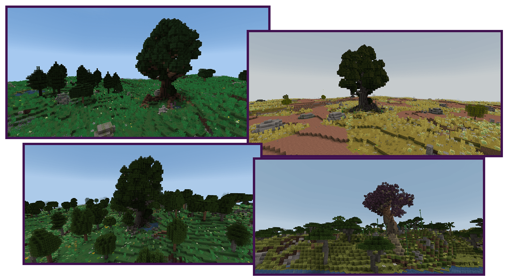 Massive tree structure in TFC world