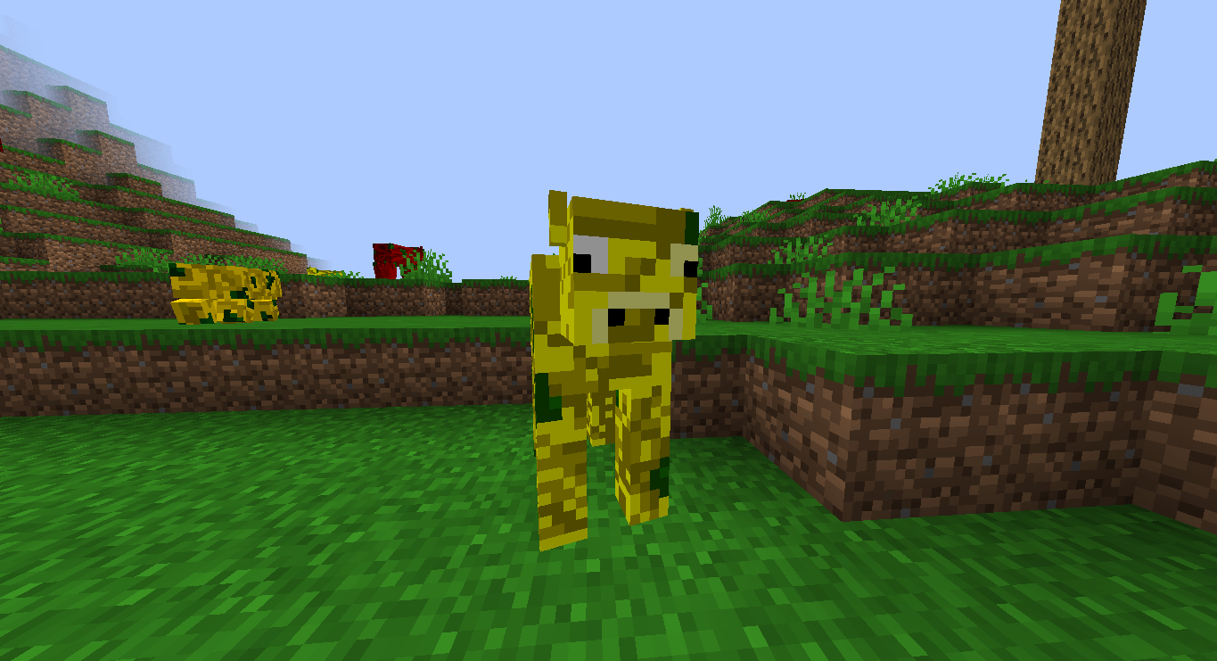 Golden Apple Cow