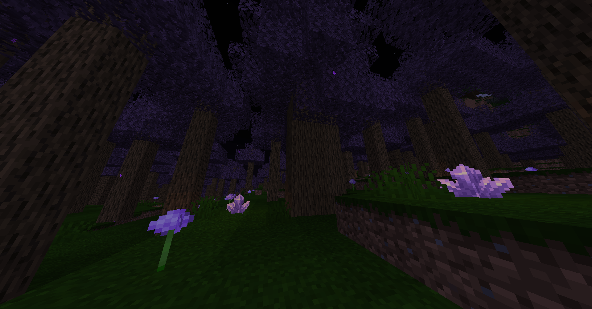 Amethyst Purple Forest