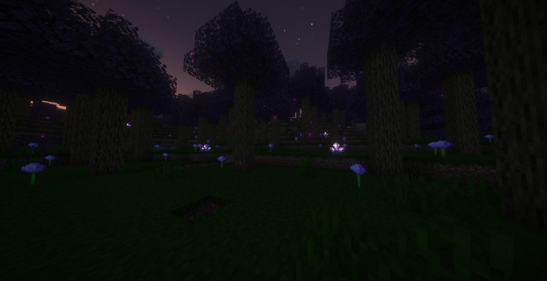 Amethyst Purple Forest (Shaders)