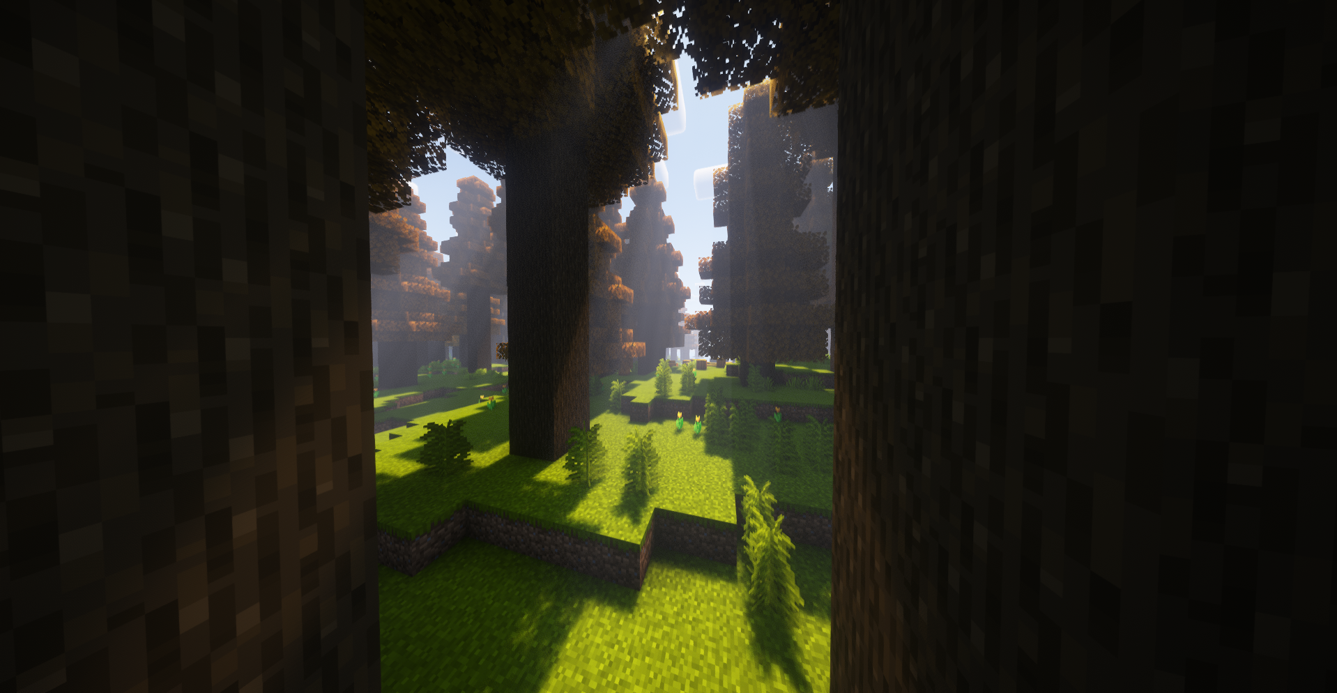 Autumn Forest (Shaders)