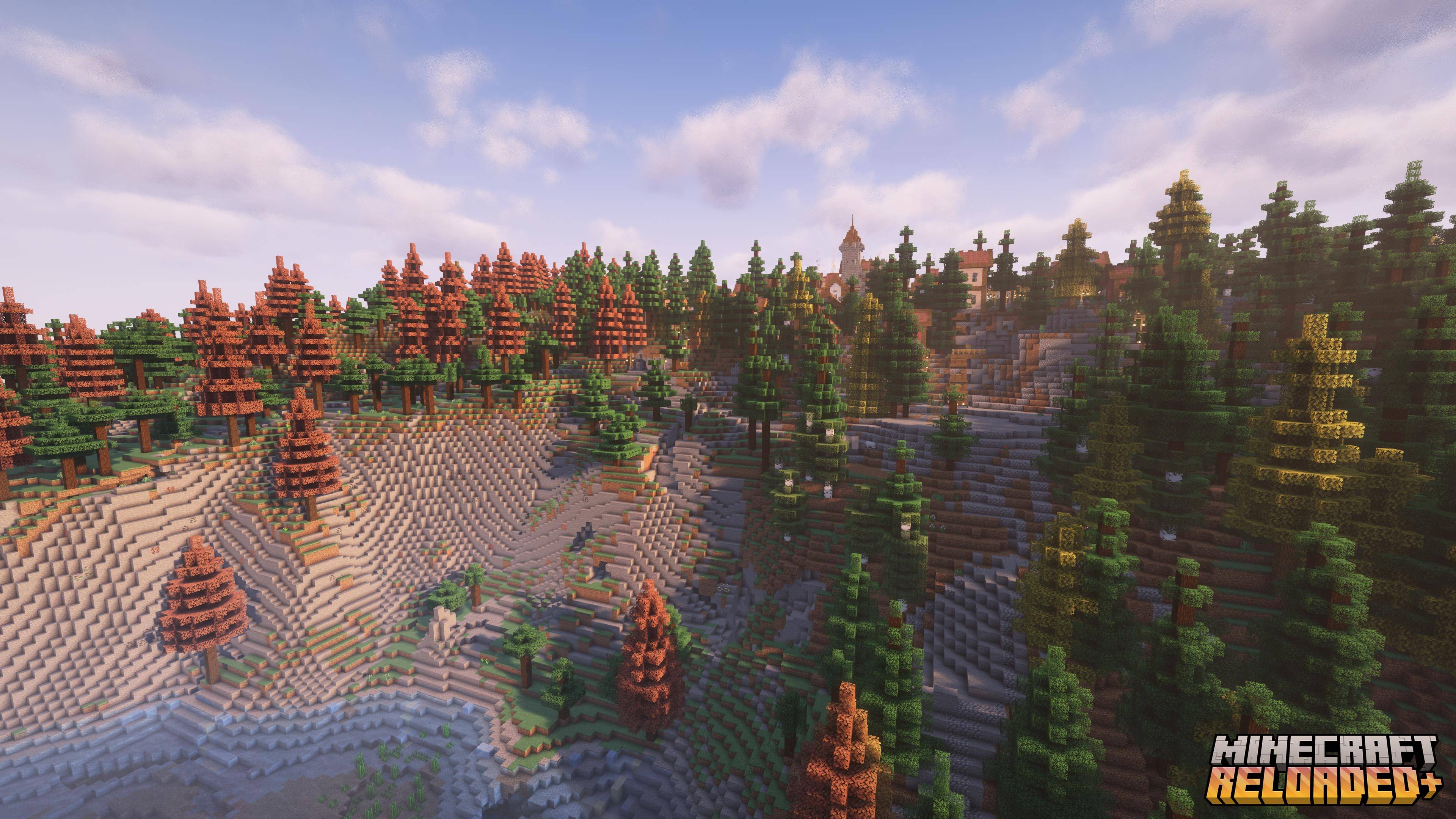 Forest