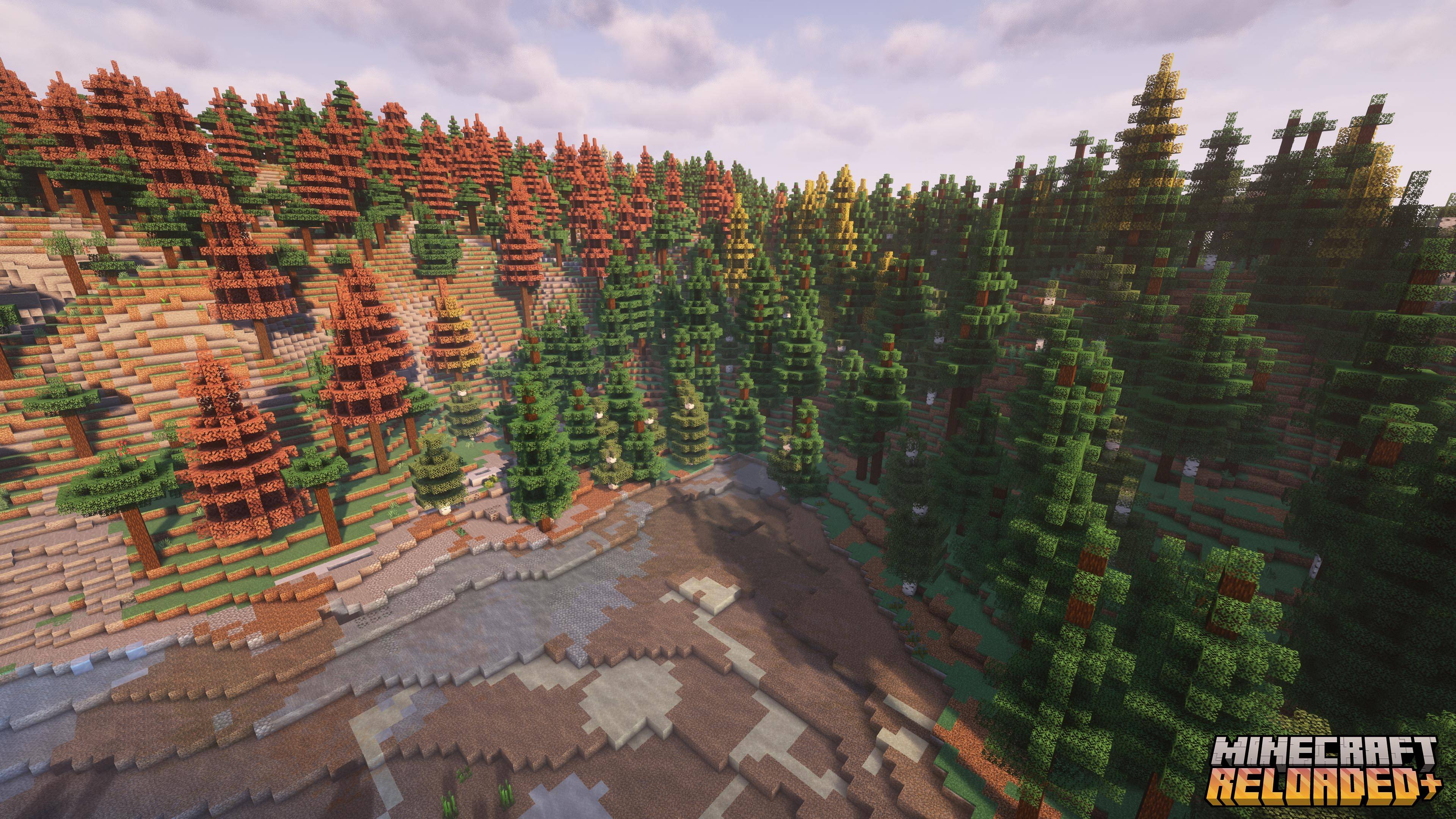 Forest
