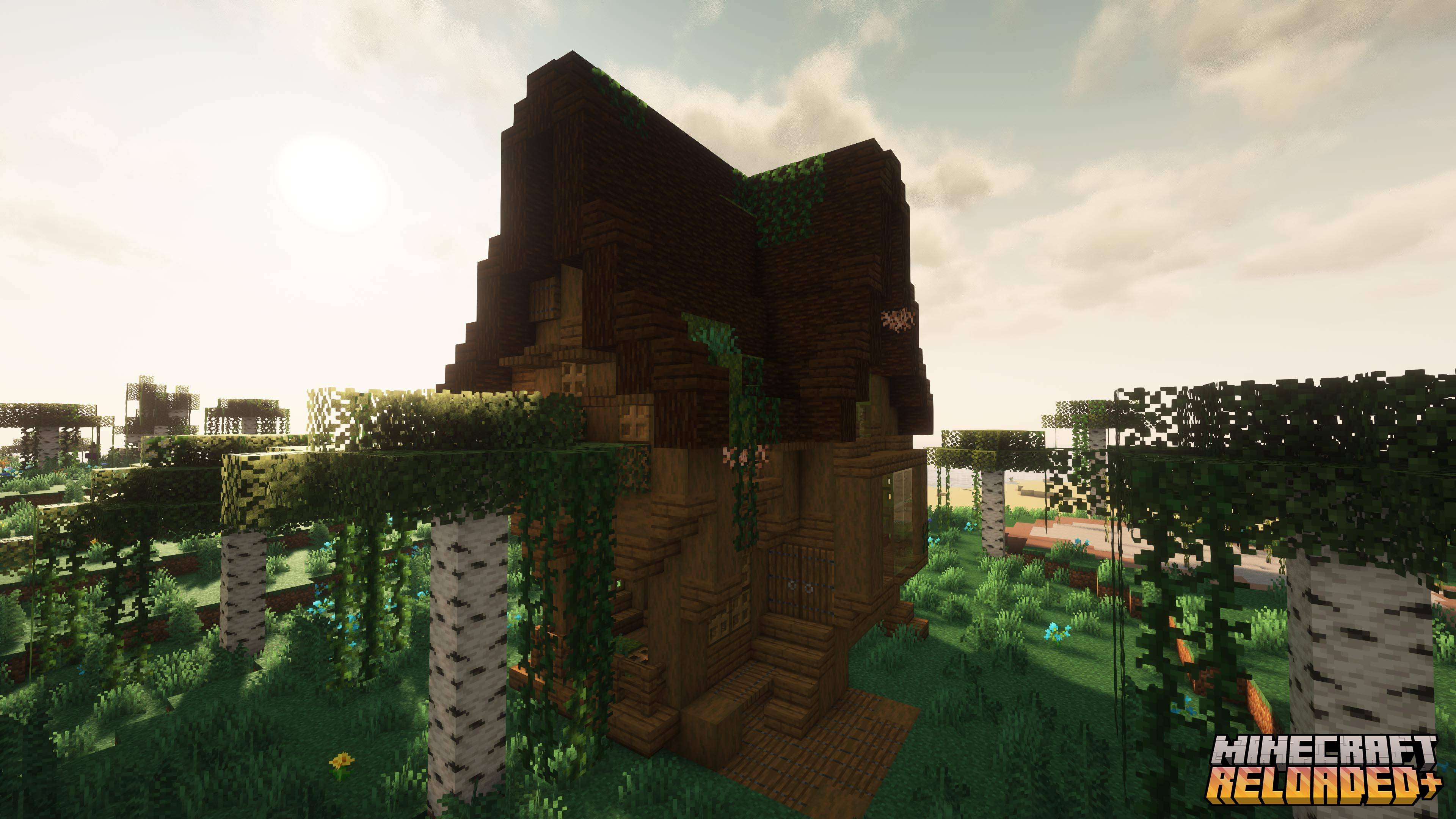 Swamp House