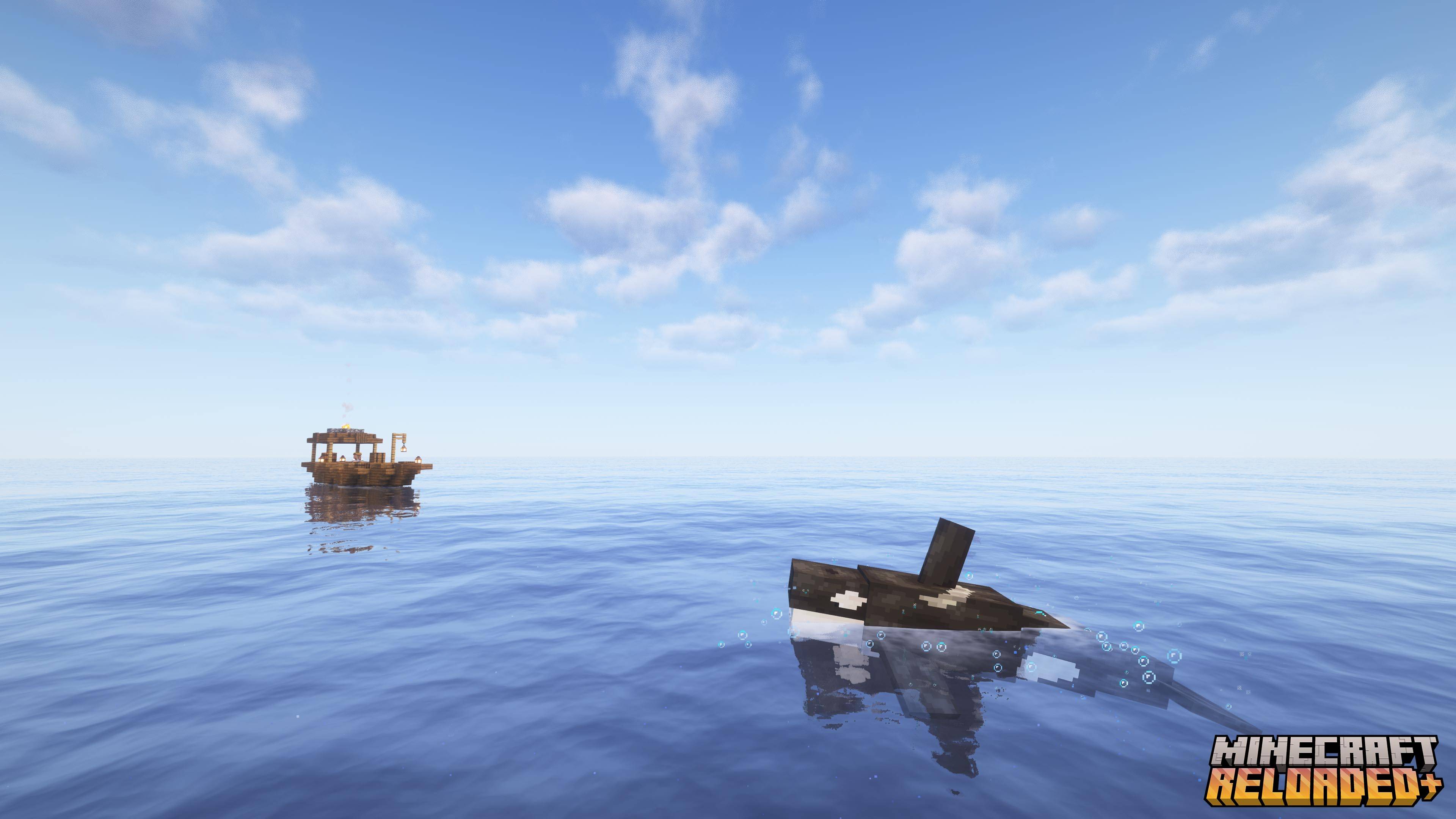 Boat & Orca