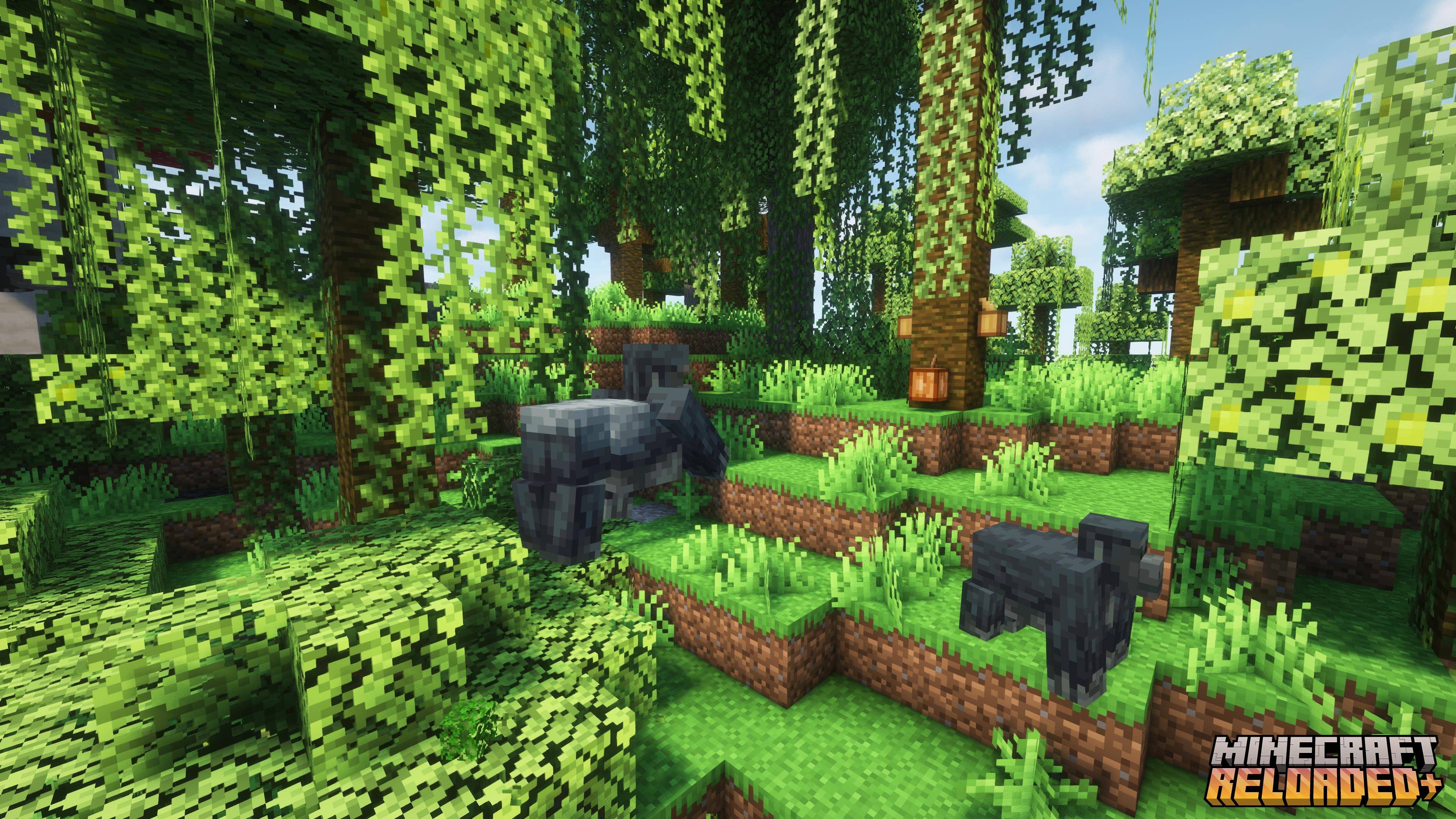 Gorillas