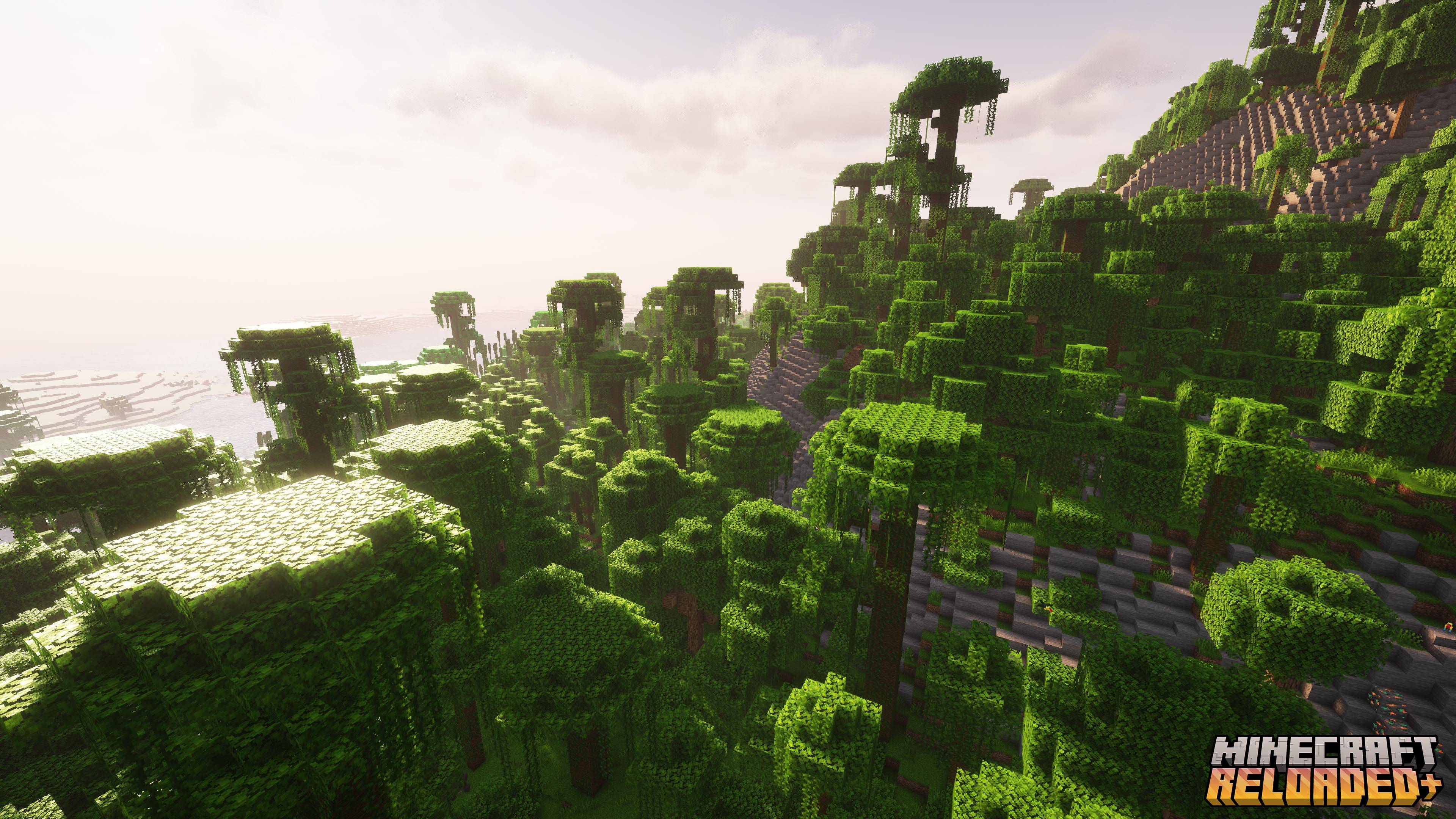 Jungle