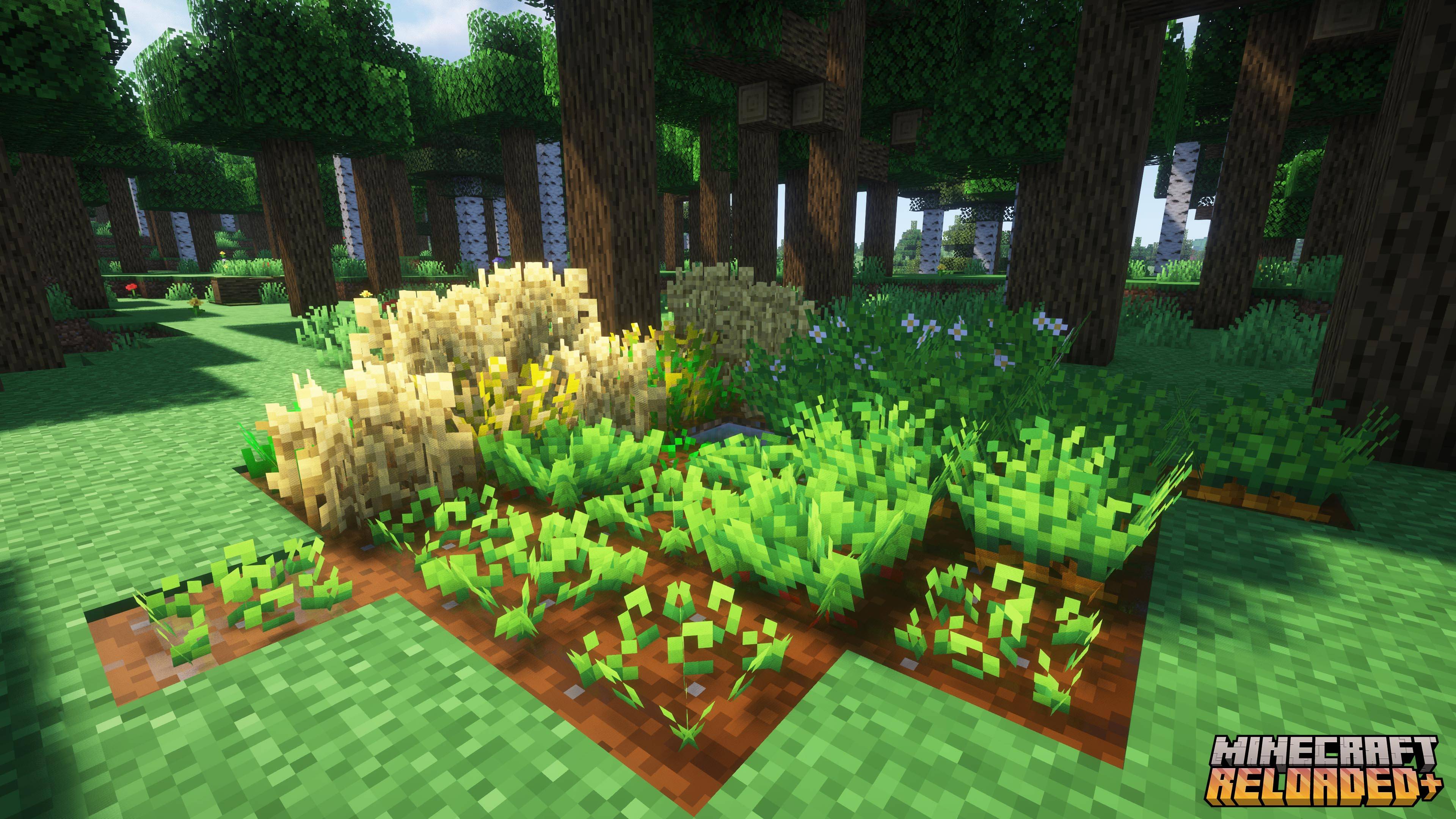 More Detailed Crops