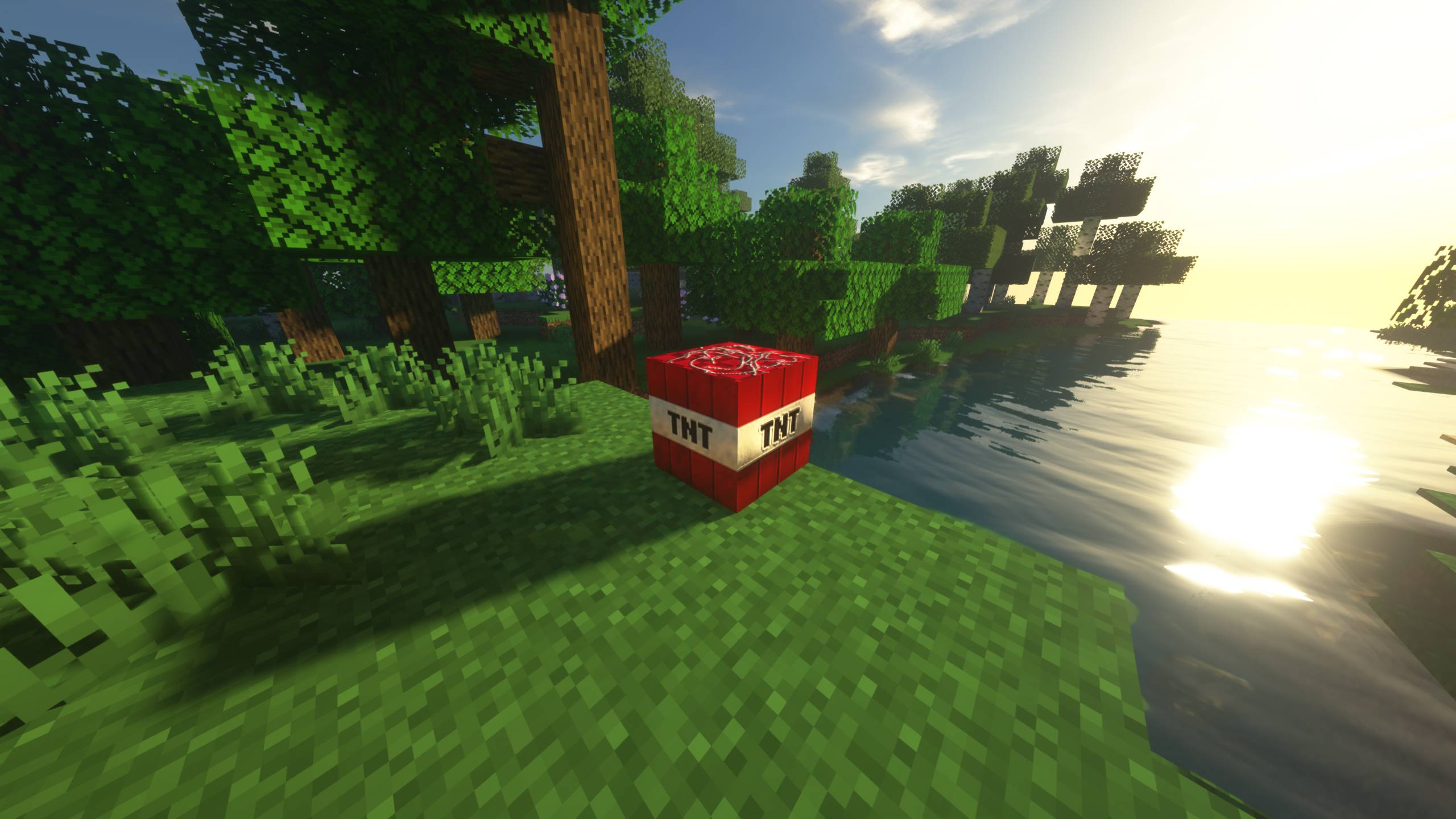 Minecraft Screenshot 2024.11.20 - 16.38.03.22.jpg