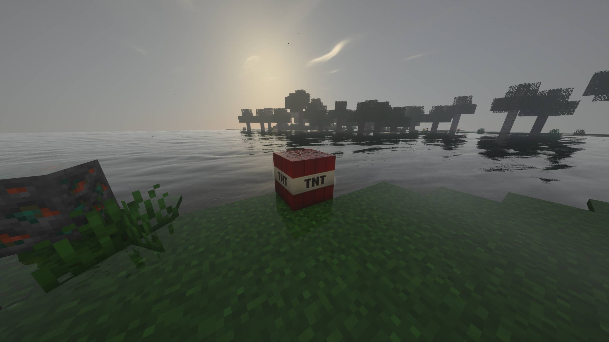 Minecraft Screenshot 2024.11.20 - 16.36.58.26.jpg