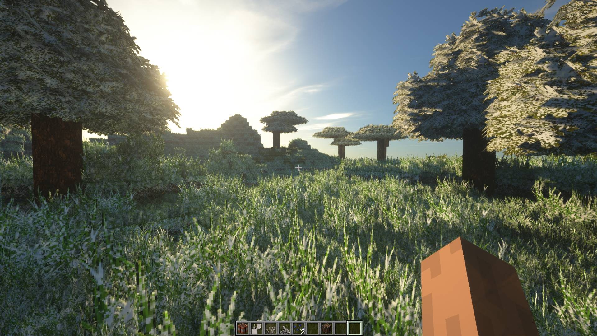 Minecraft Screenshot 2024.11.22 - 18.32.28.85.jpg