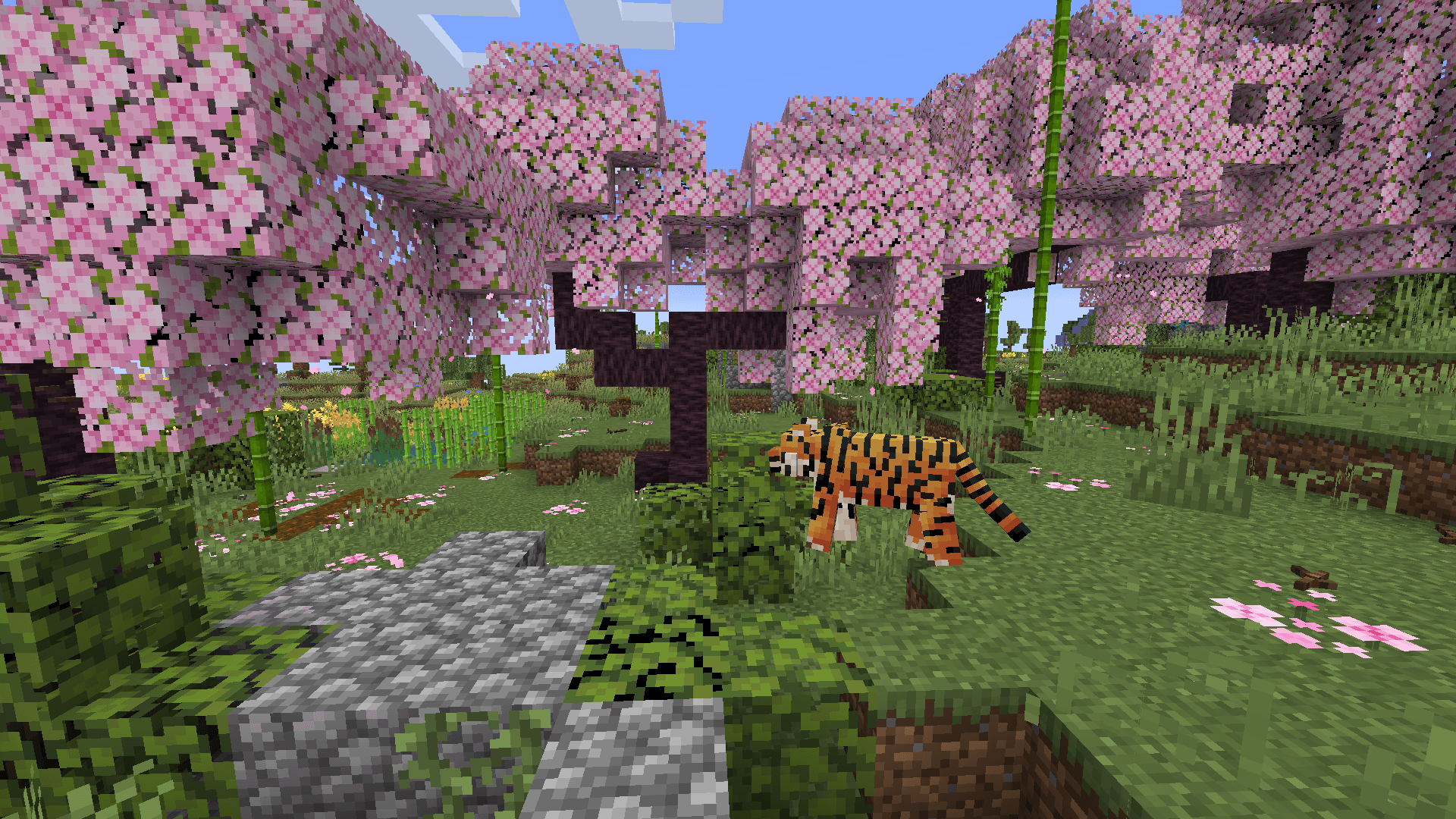 Thumbnail 2024-11-24_17.23.11_compressed.png