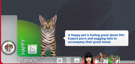 screenshot thumbnail