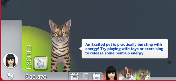 Thumbnail In the files, it's called "Excited" for dogs and "Hyper Pets" for cats.