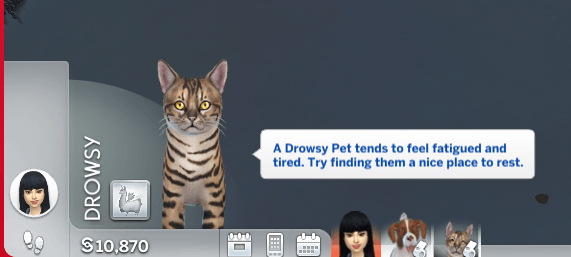 Thumbnail In the files, it's called "Drowsy" for cats and "Mopey for dogs.