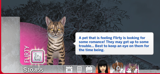 screenshot thumbnail