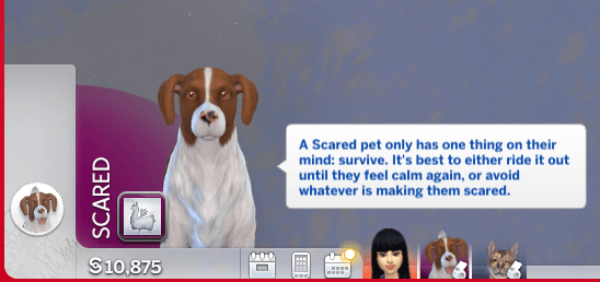 Thumbnail Pets will also occasionally become "Terrified" around rampaging werewolves. I'm not entirely sure why since they don't have an emotion for terrified, but it happens.