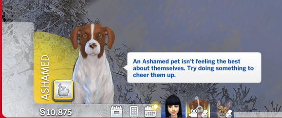 Thumbnail Unsure whether or not this mood also applies to cats or not.