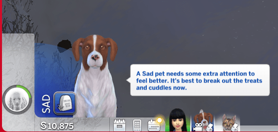 Thumbnail Apparently only dogs can get this mood. Weird.