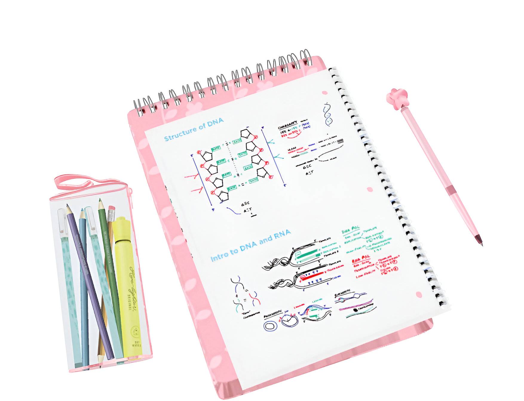 Study notes and transparent case