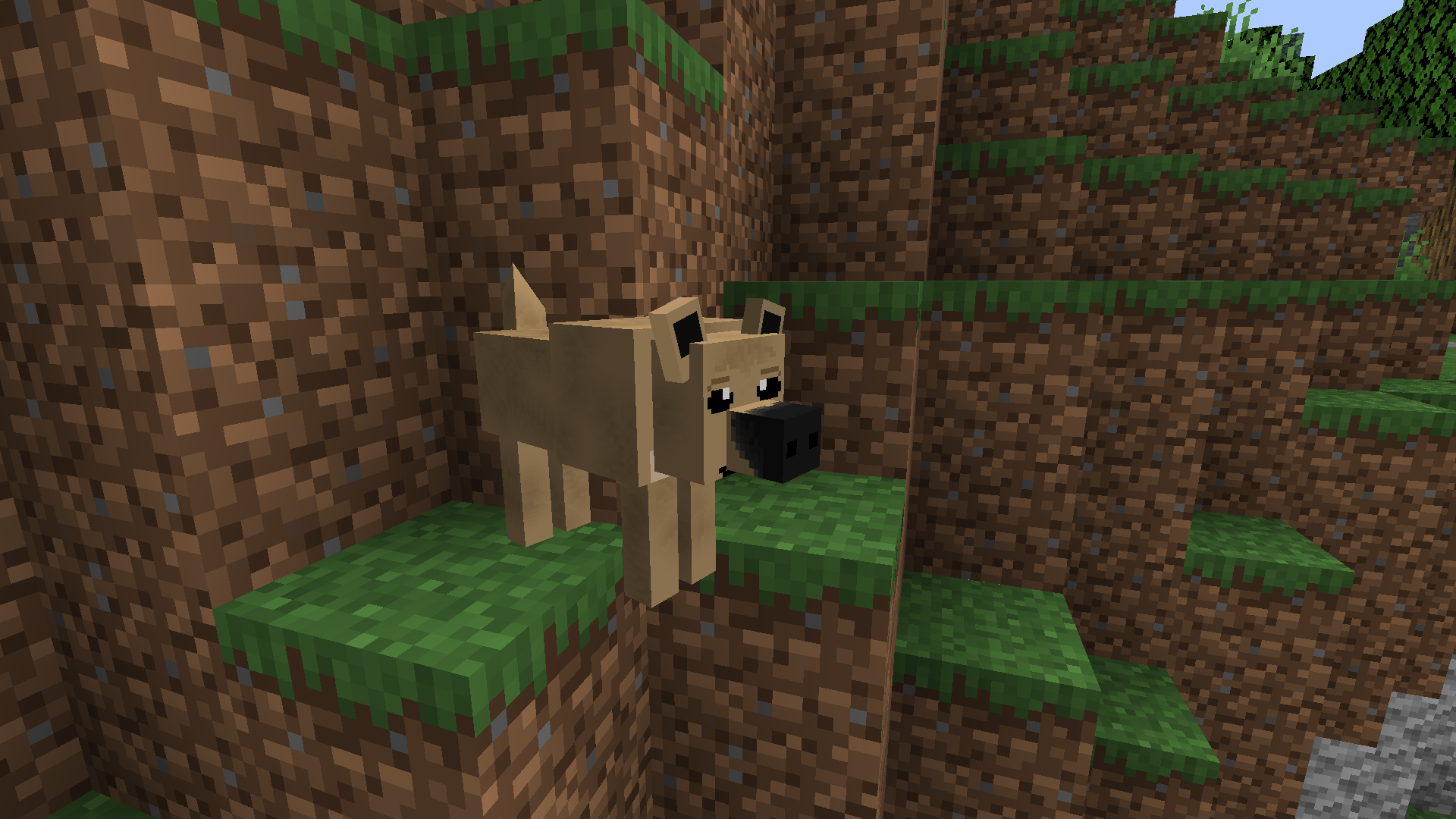 Thumbnail CachorroCaramelo2.png