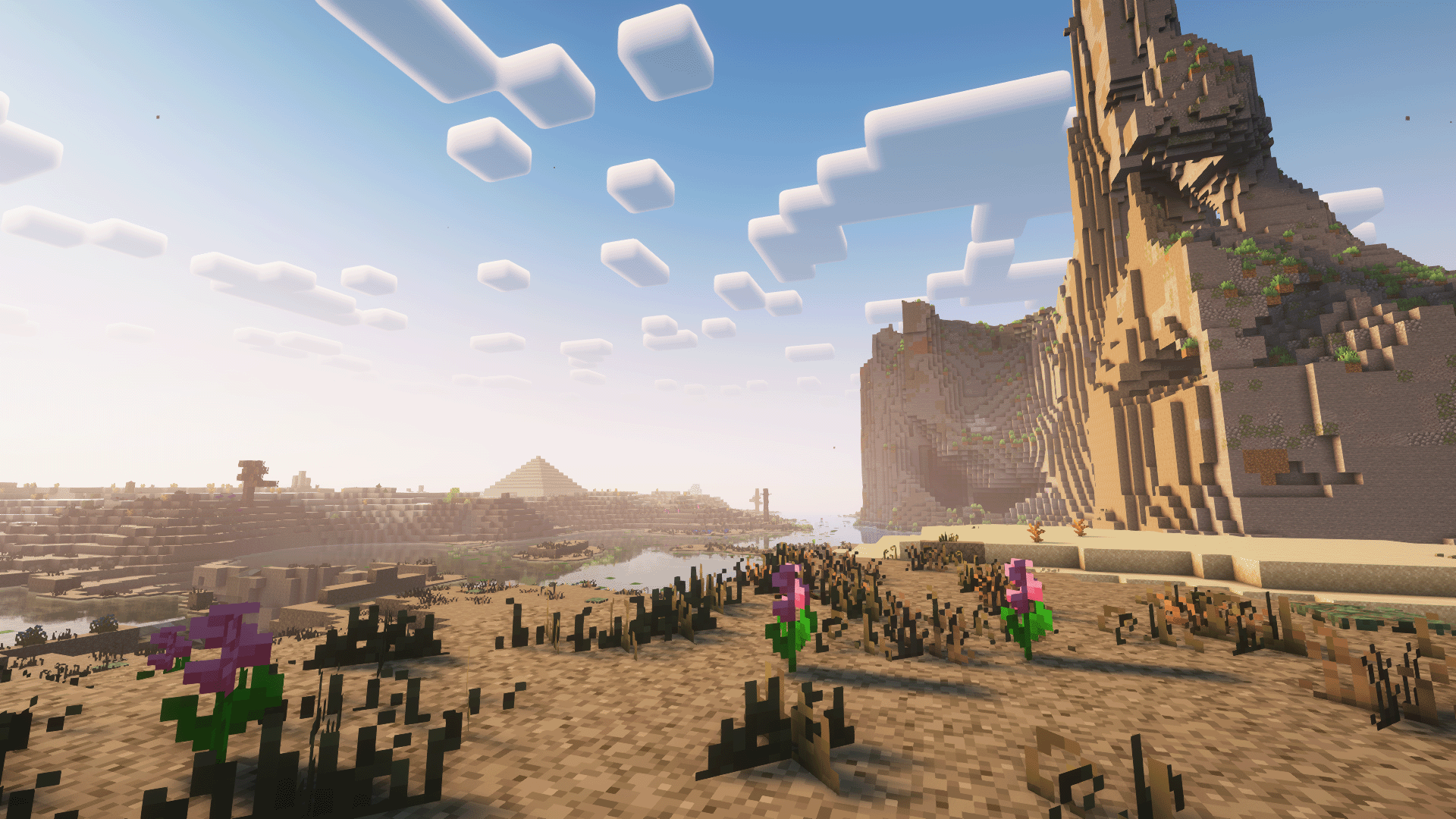New flowers, structures, and sights to see!