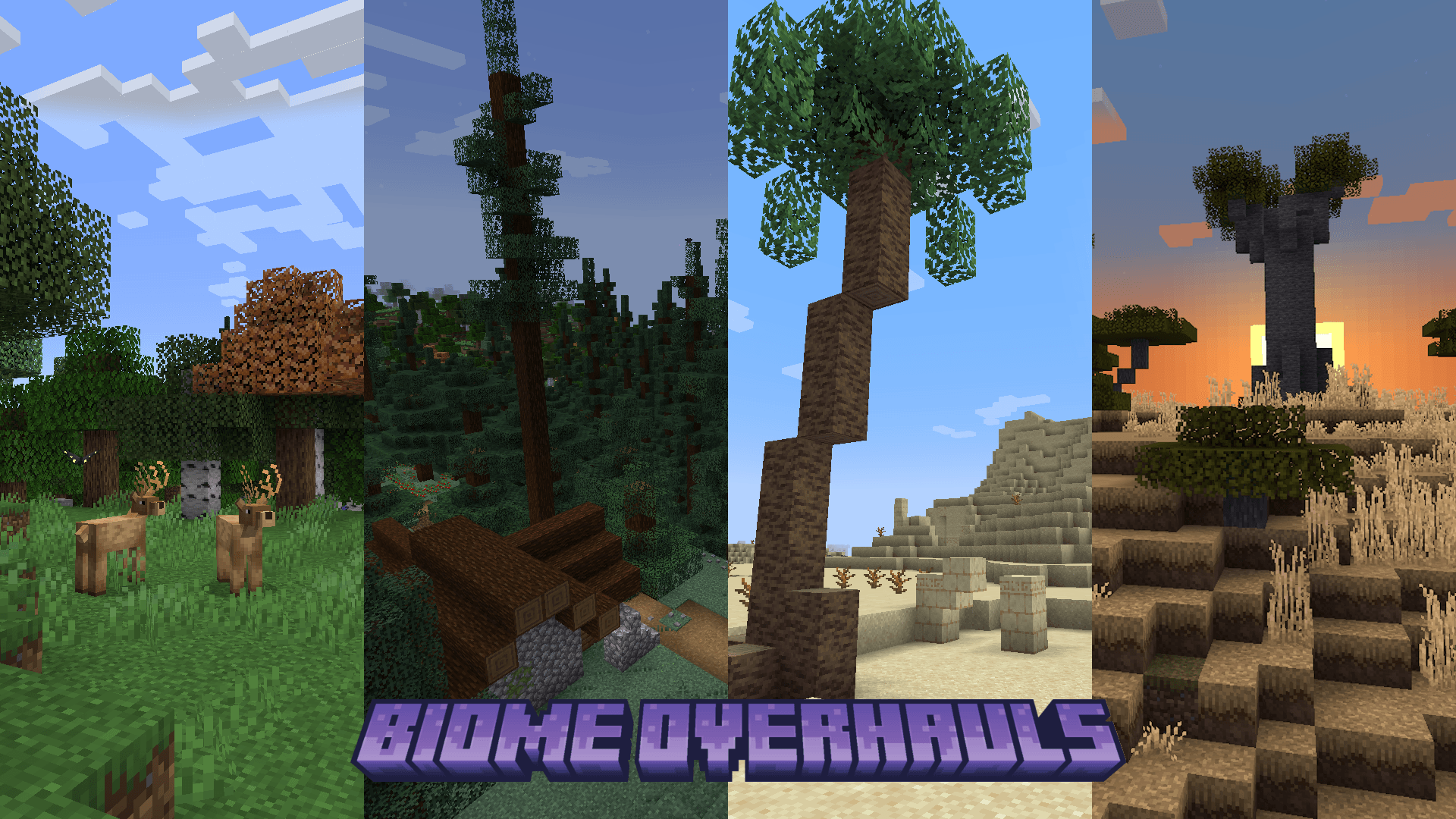 Biome Overhauls