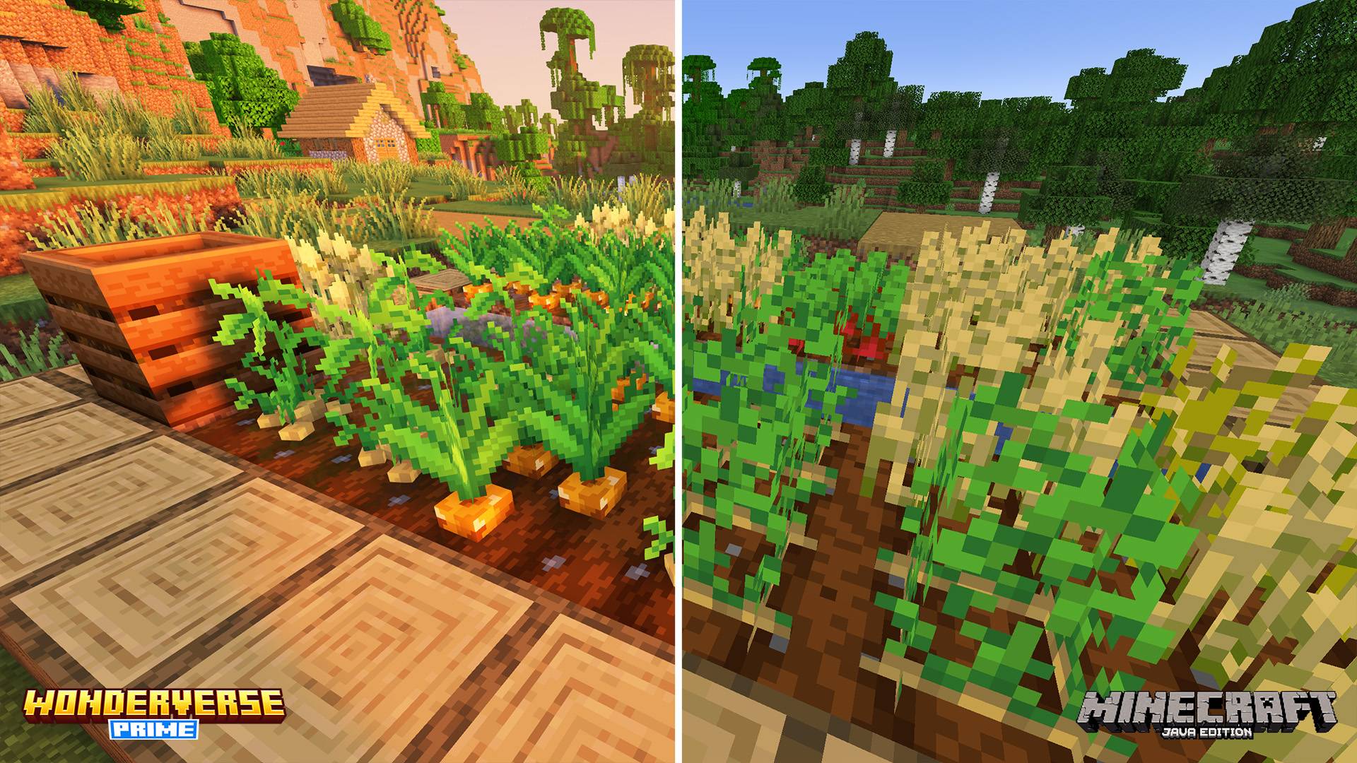 screenshot thumbnail