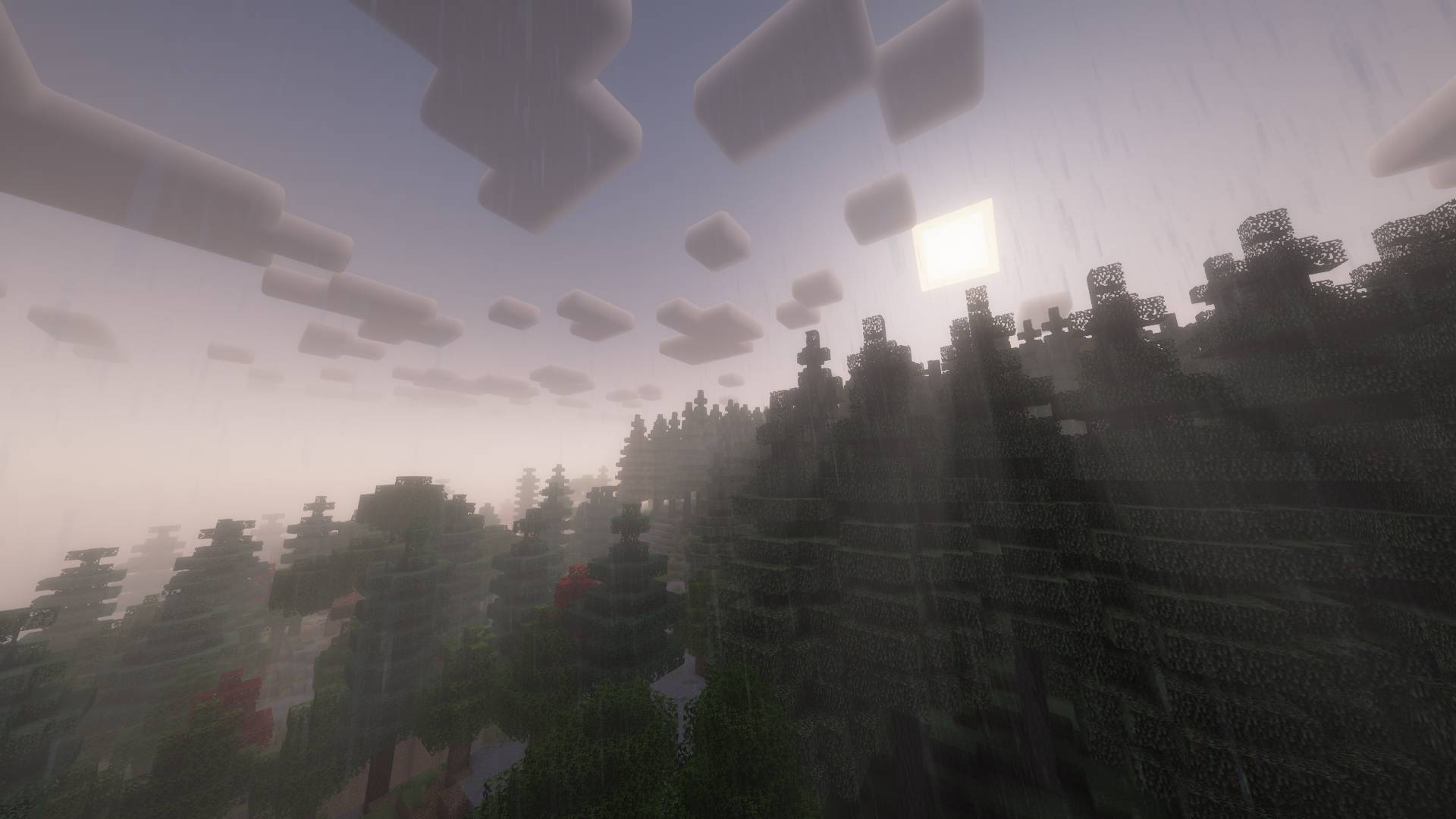 Rainy landscape
