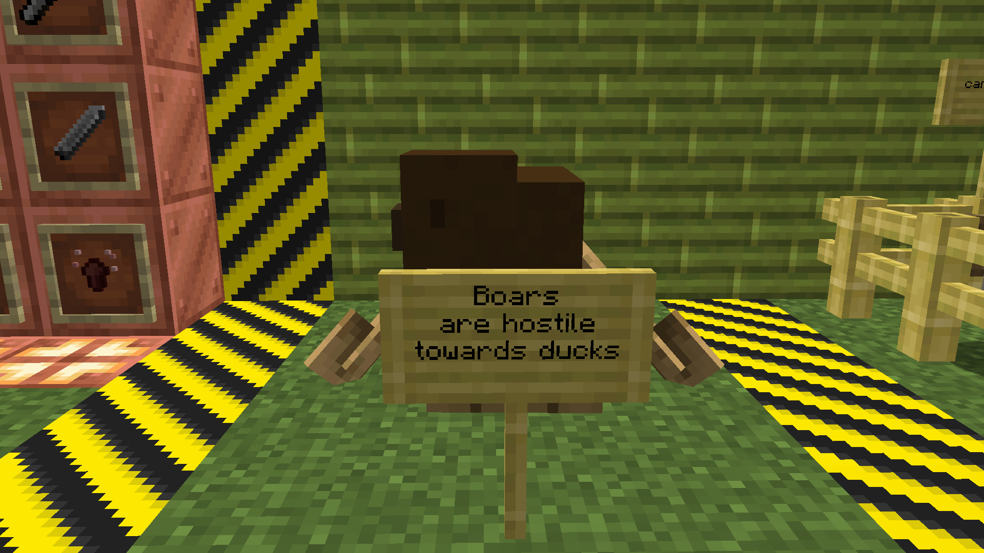Boar