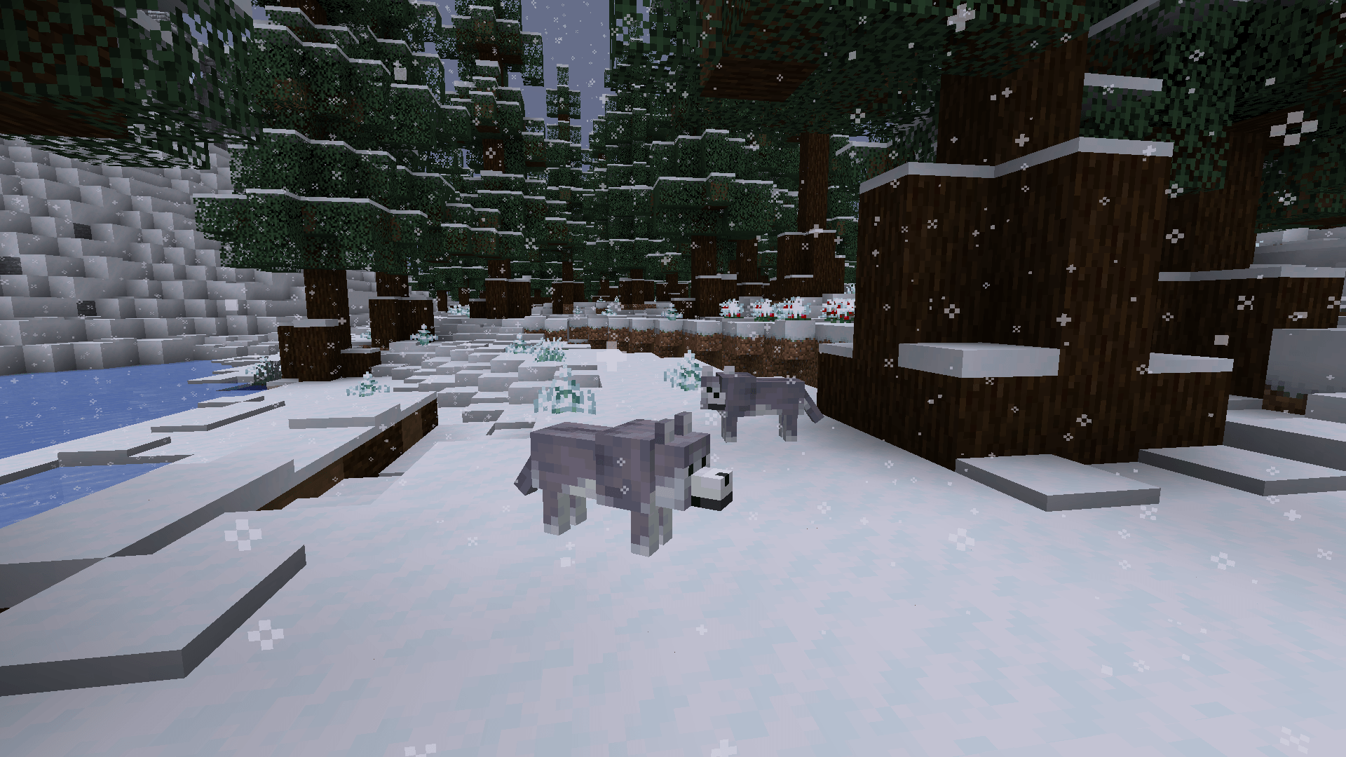Thumbnail 2024-12-21_14.16.04.png