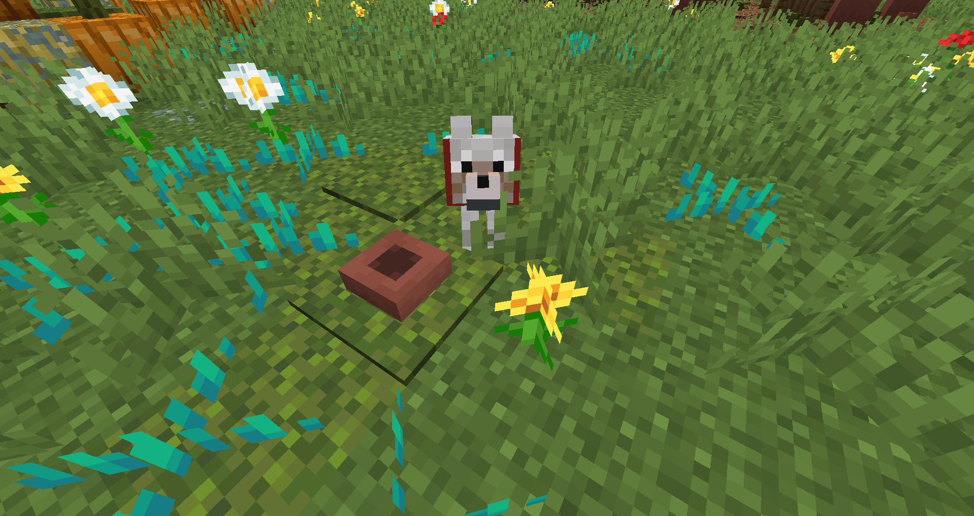 Thumbnail dog bowl.png