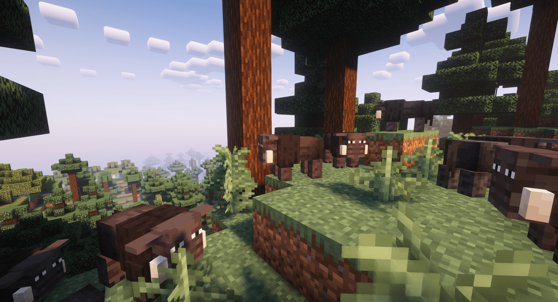 Thumbnail Brown and black boars take the place of pigs in taiga biomes.