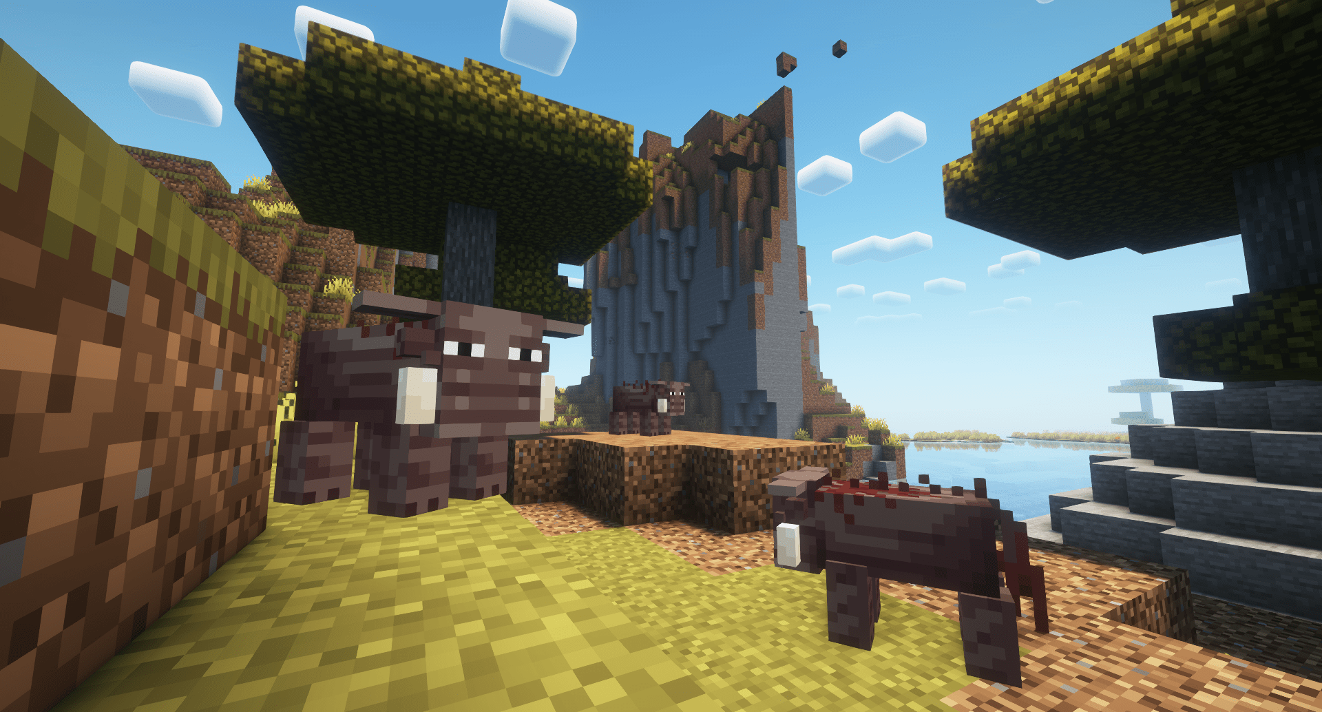 Thumbnail Warthogs take the place of pigs in all savanna biomes.
