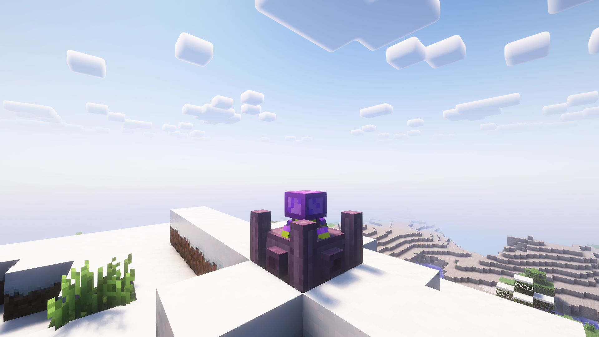 Projector