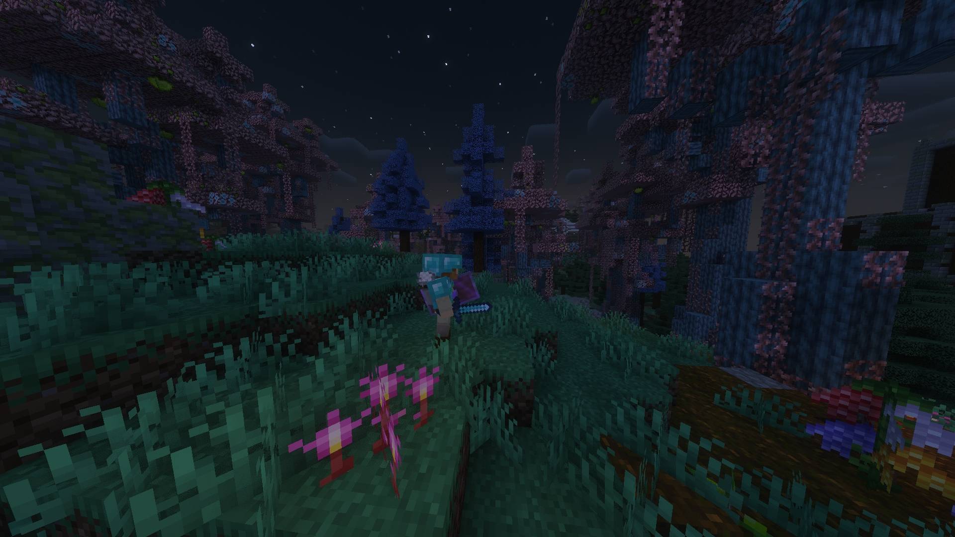 A Skyrise Vale at night