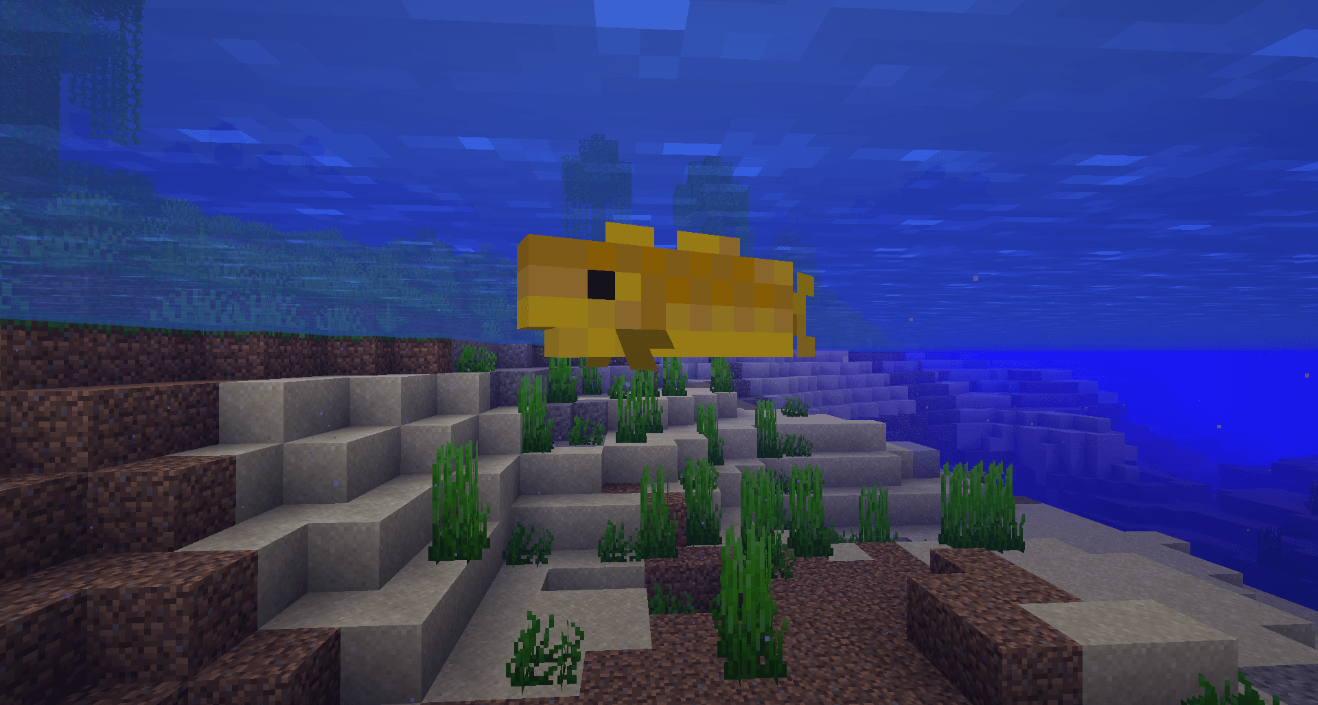 A Babel Fish