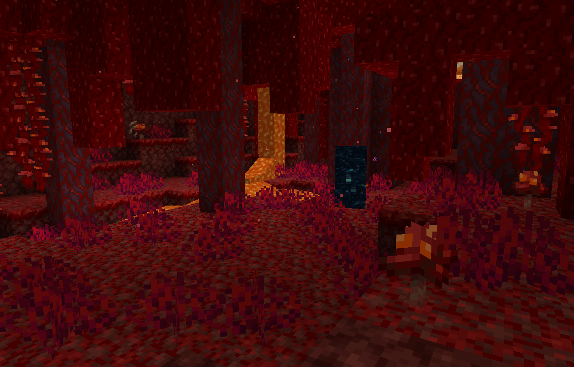 portal-in-nether.png