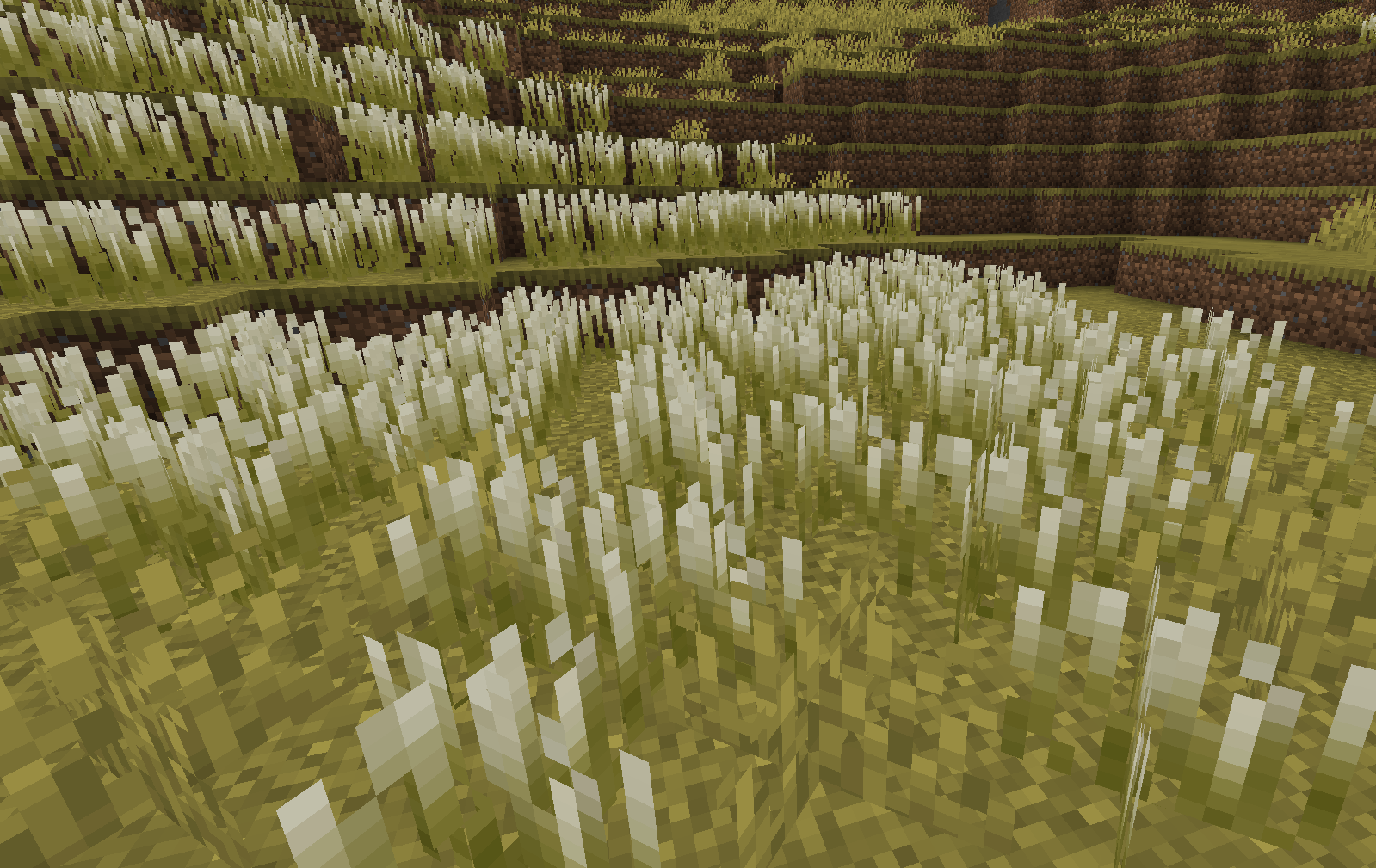 #1.0.0 Update: Steppes Biome: Feather Grass