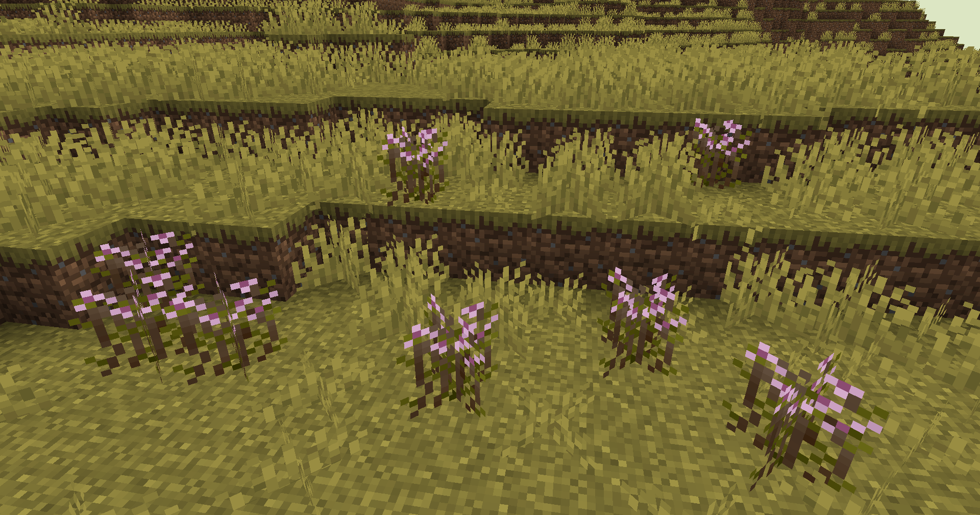 #1.0.0 Update: Steppes Biome: Thyme