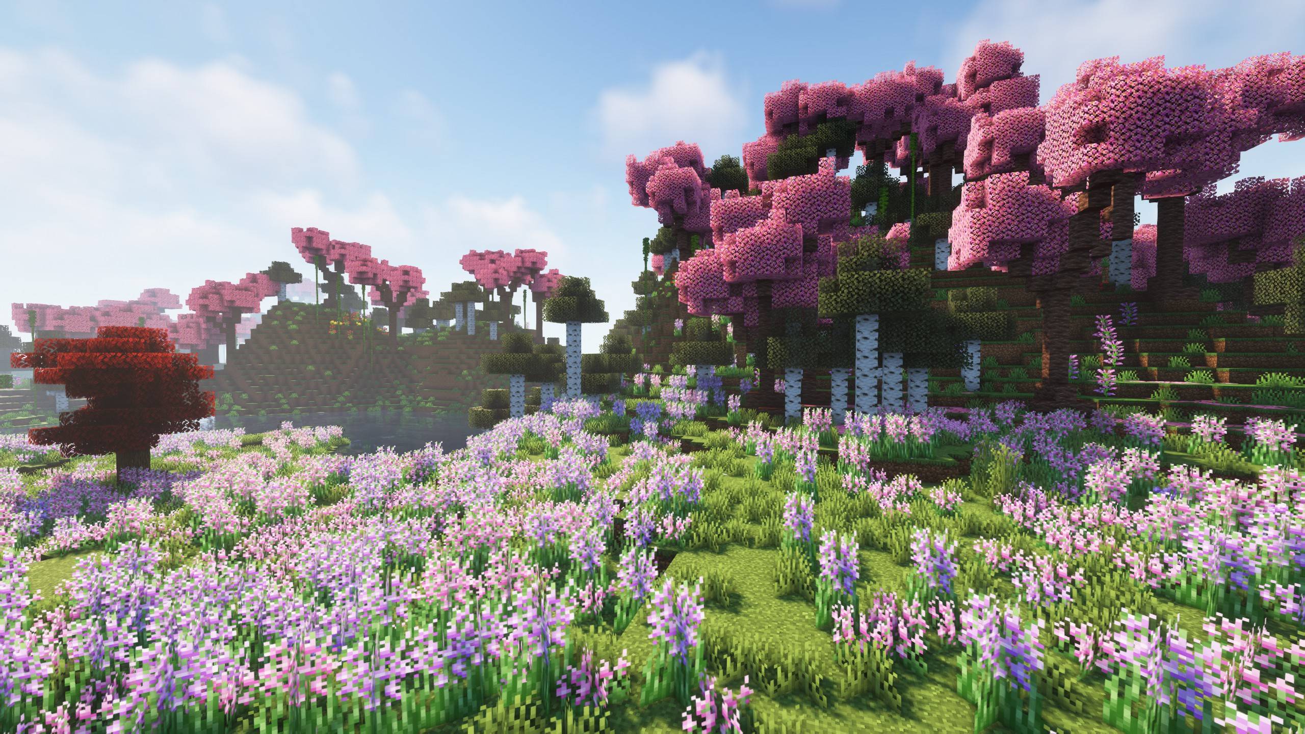 Cherry blossom grove