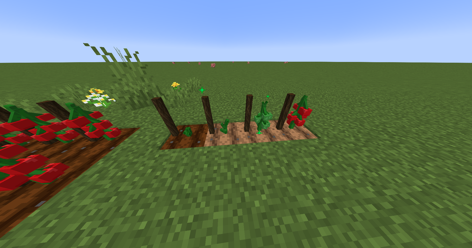 Thumbnail 2025-01-24_12.00.22.png