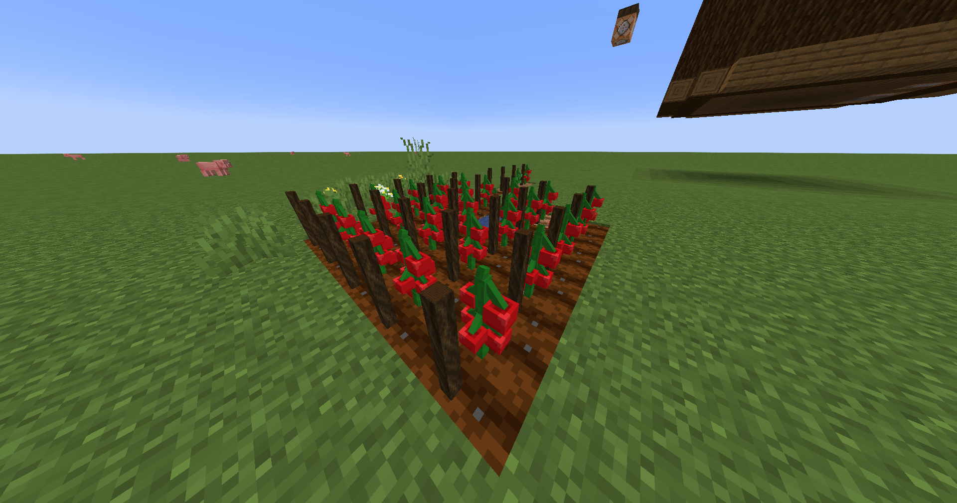 Thumbnail 2025-01-24_12.00.30.png